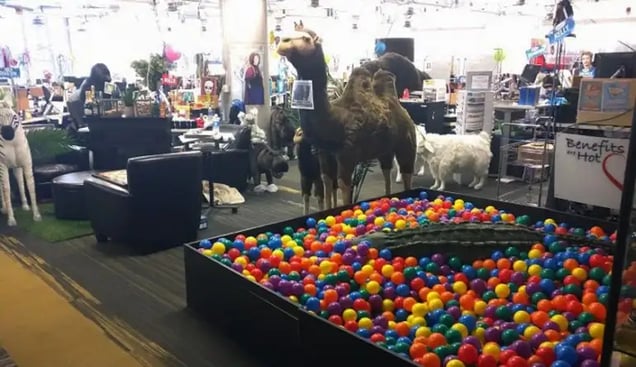 Zappos - ball pit